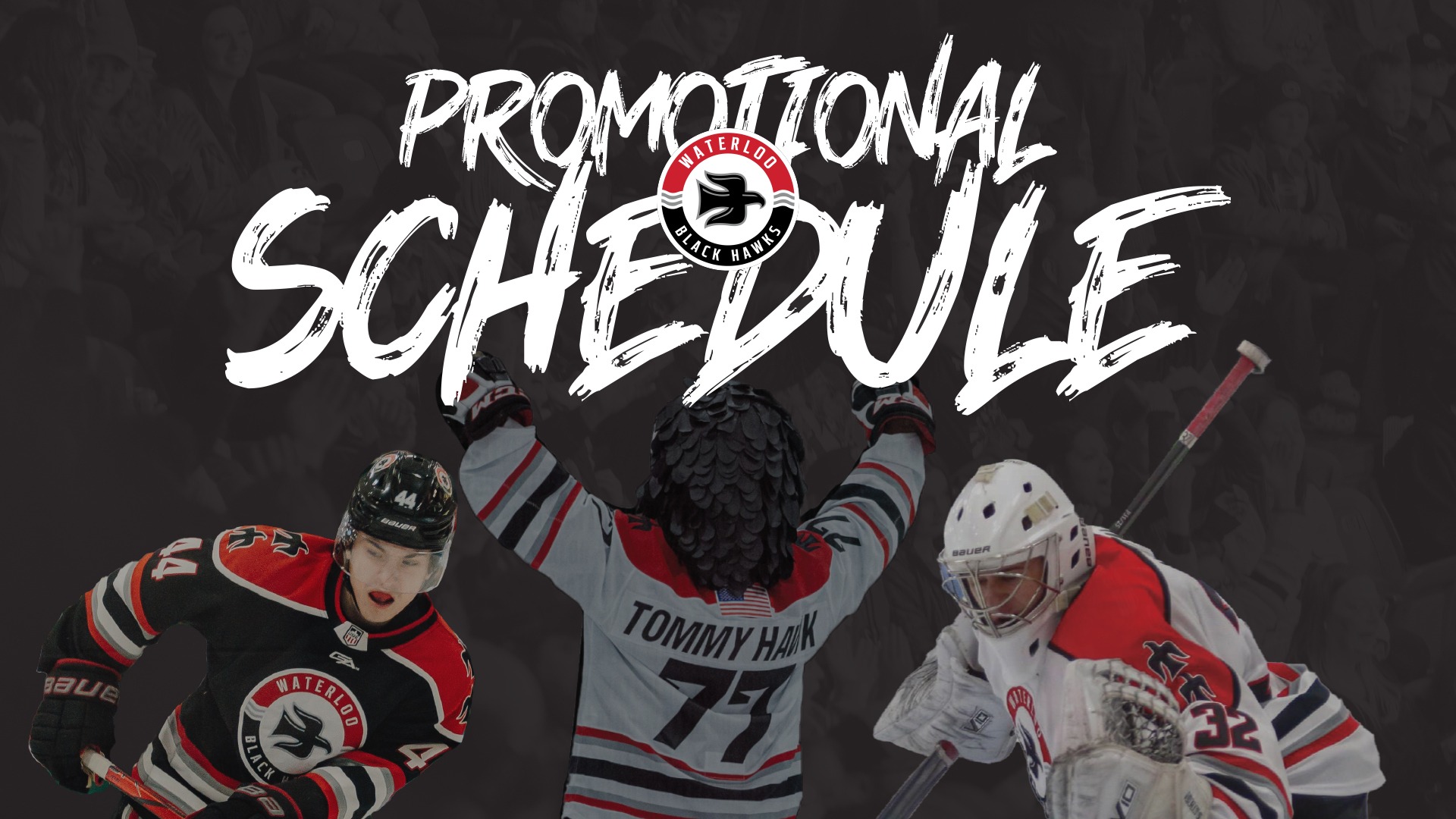 Promotional Schedule