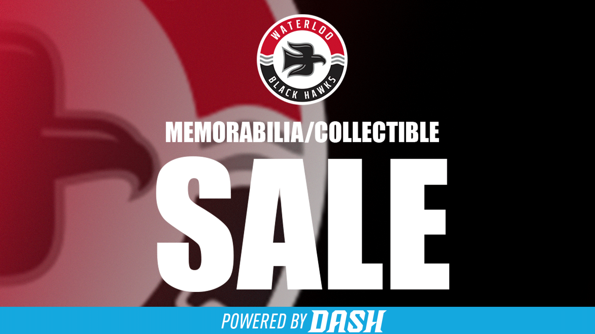 Dash Collectable Sale