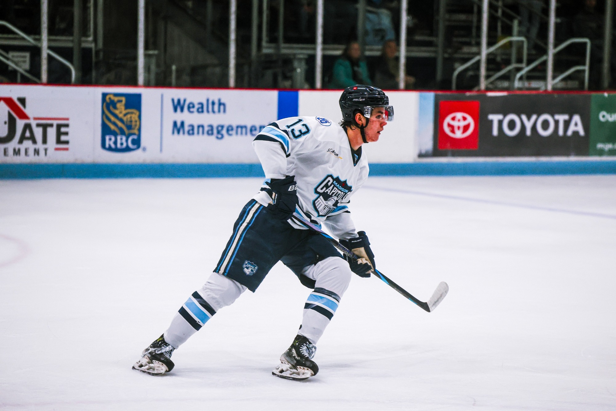 Chris Baird Gajdos - Madison