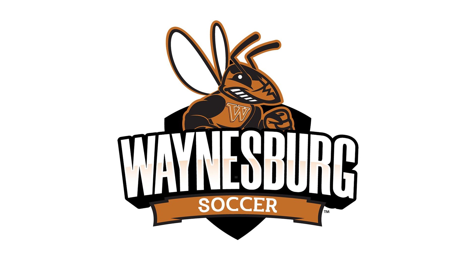 2022 Soccer Logo