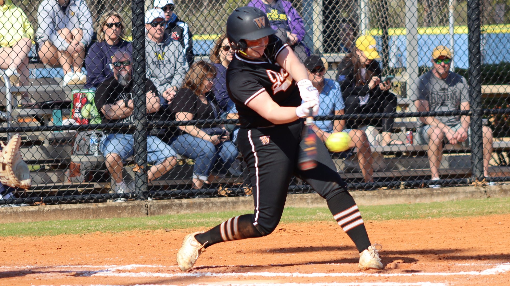Waynesburg batter making contact