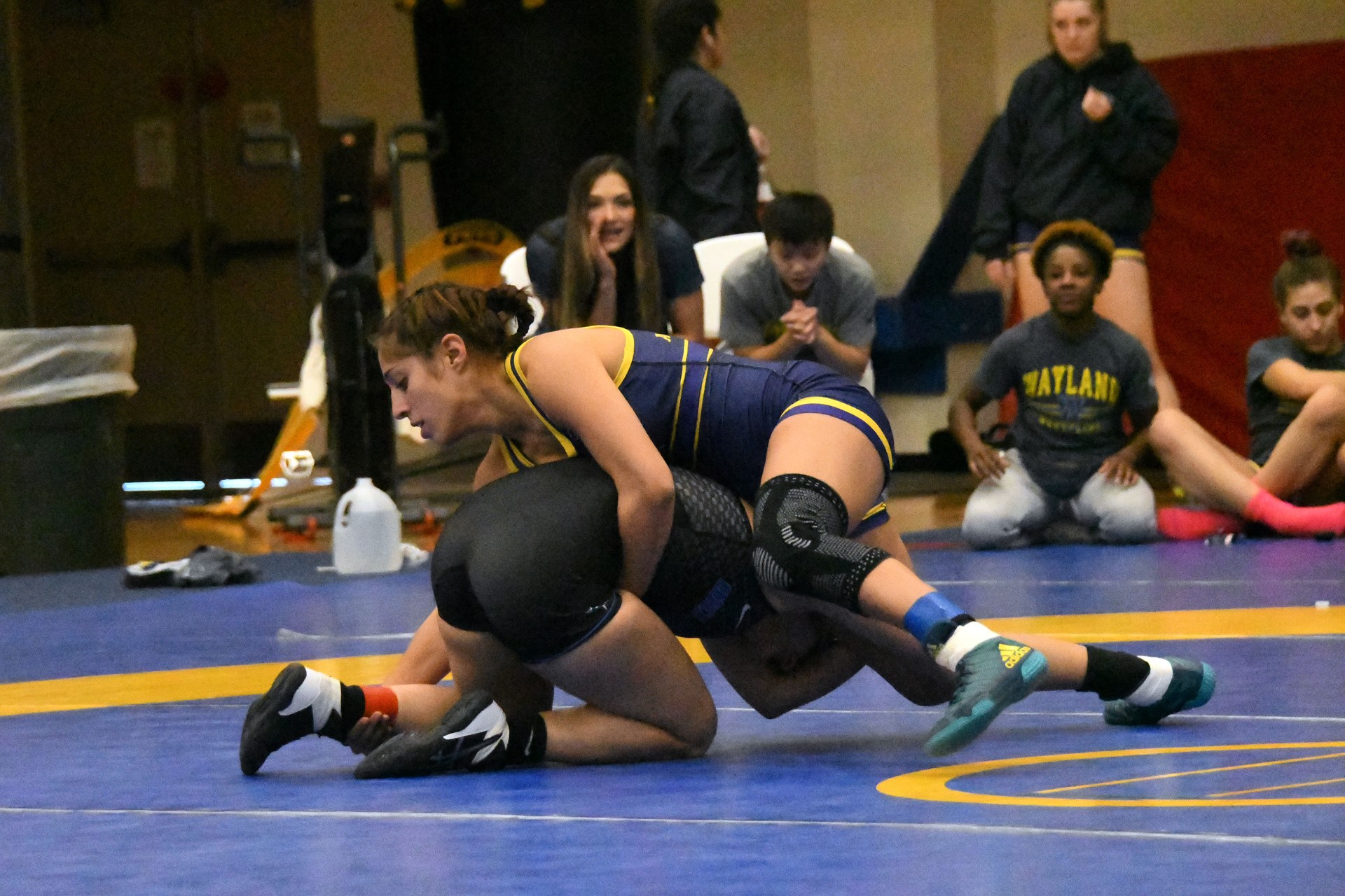 Mia Arceneaux 202324 Women's Wrestling Wayland Baptist