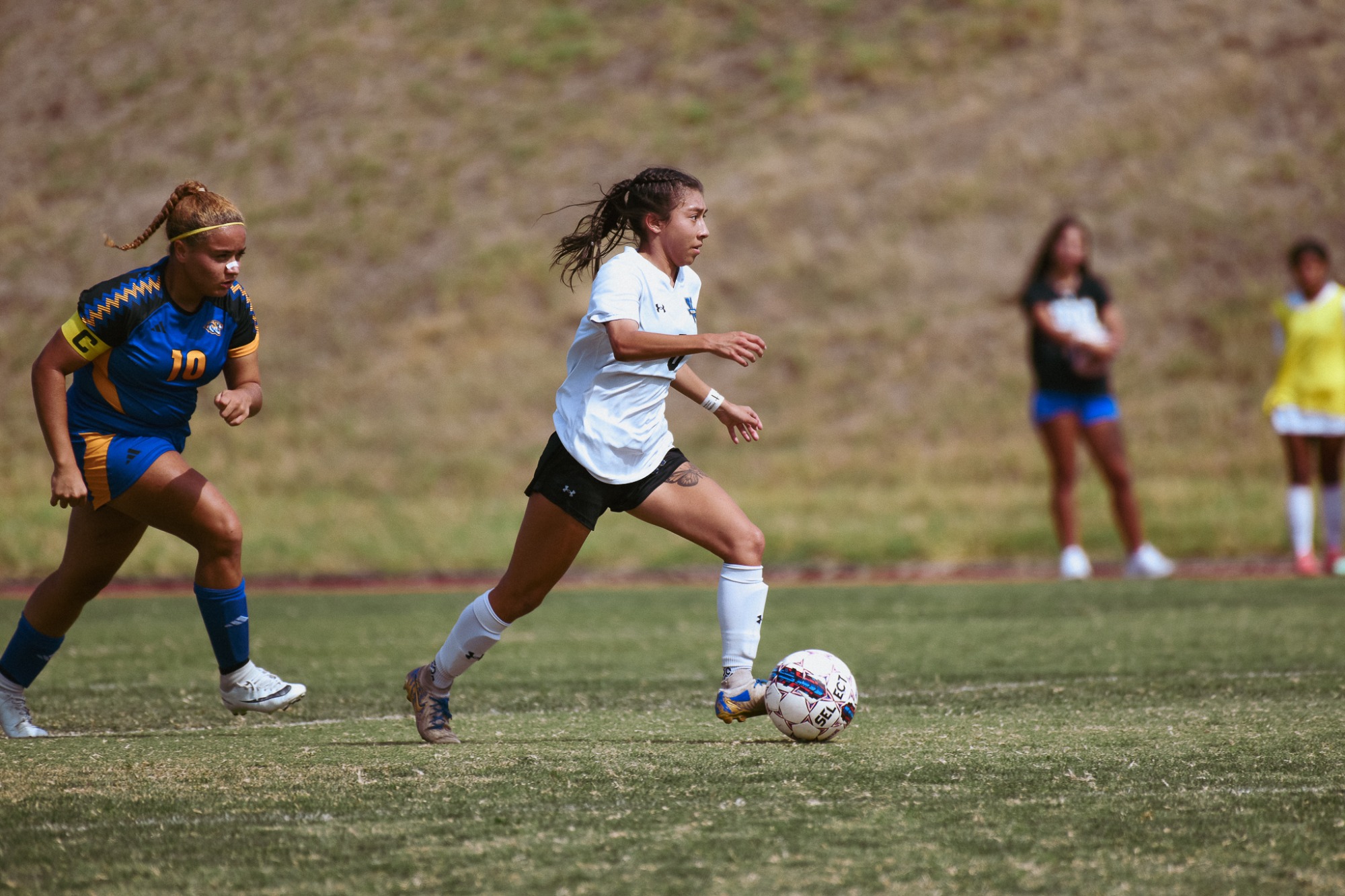 wsoc vs ccc