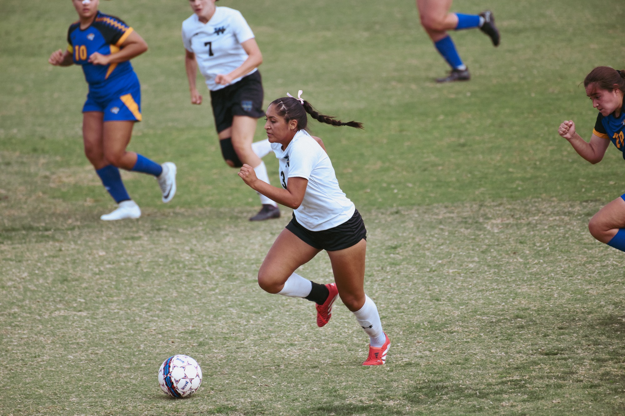 wsoc vs ccc