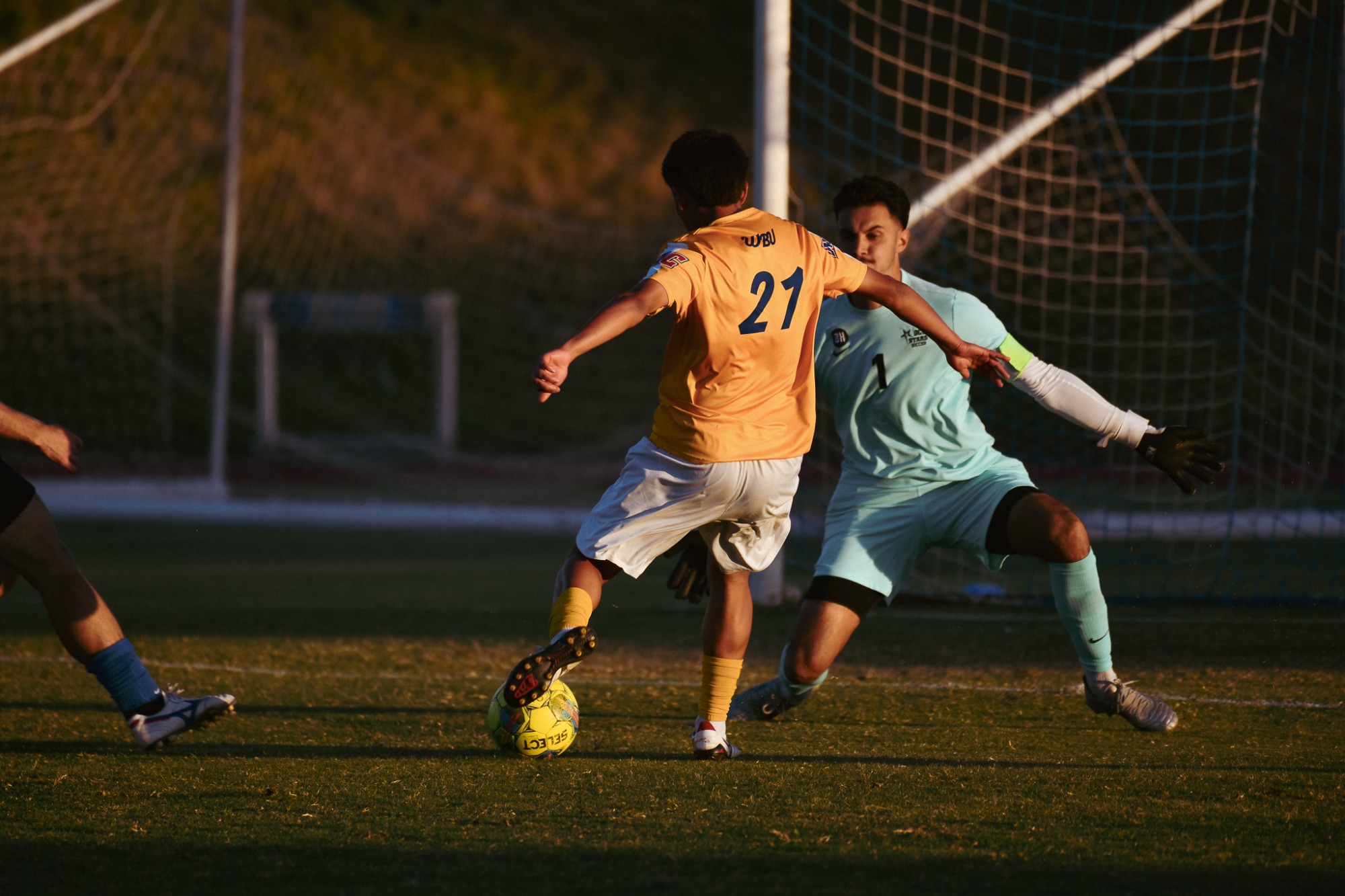 msoc vs ocu