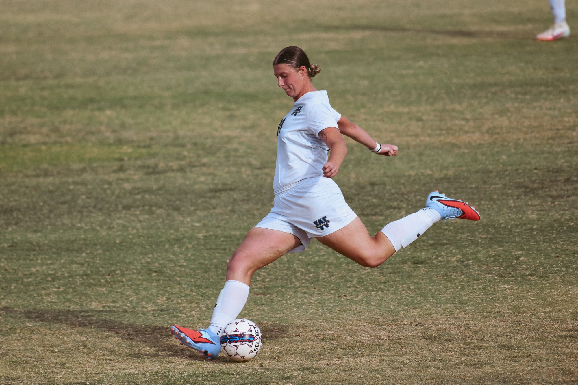 wsoc vs scu