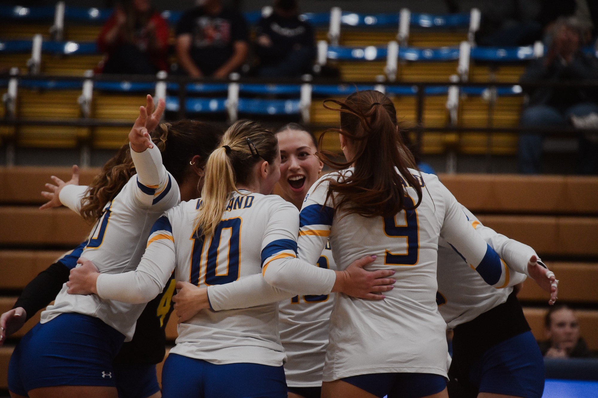 vb vs opsu