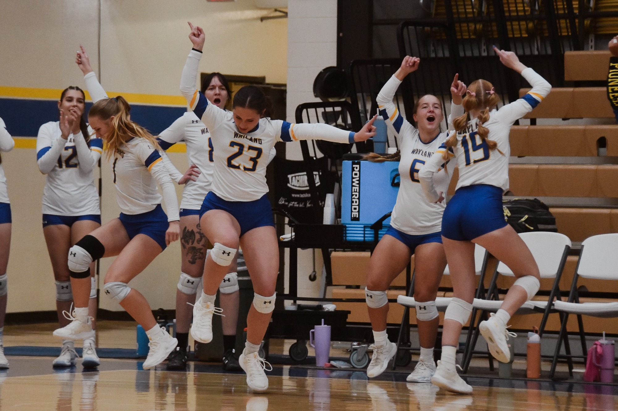 vb vs opsu
