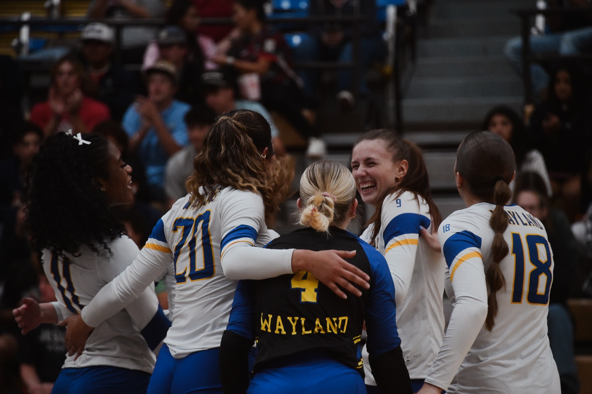 vb vs opsu