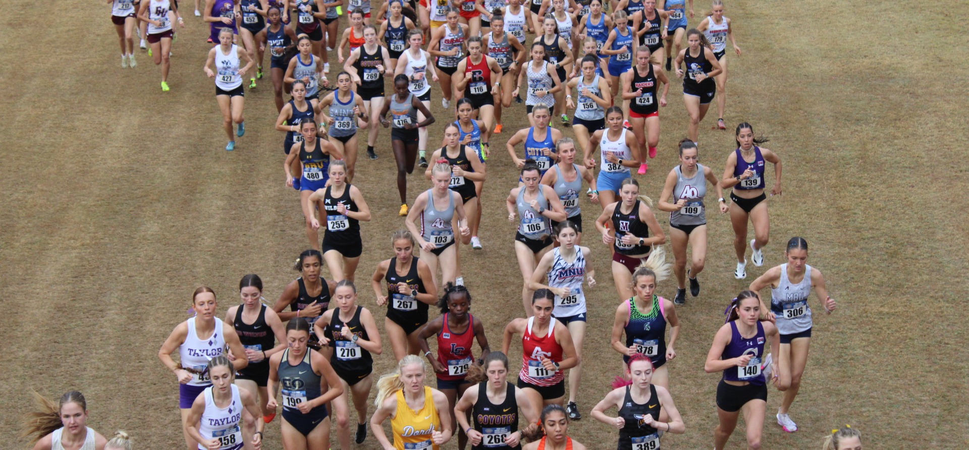 Inmaculada Delgado NAIA Women's Cross Country National Championships