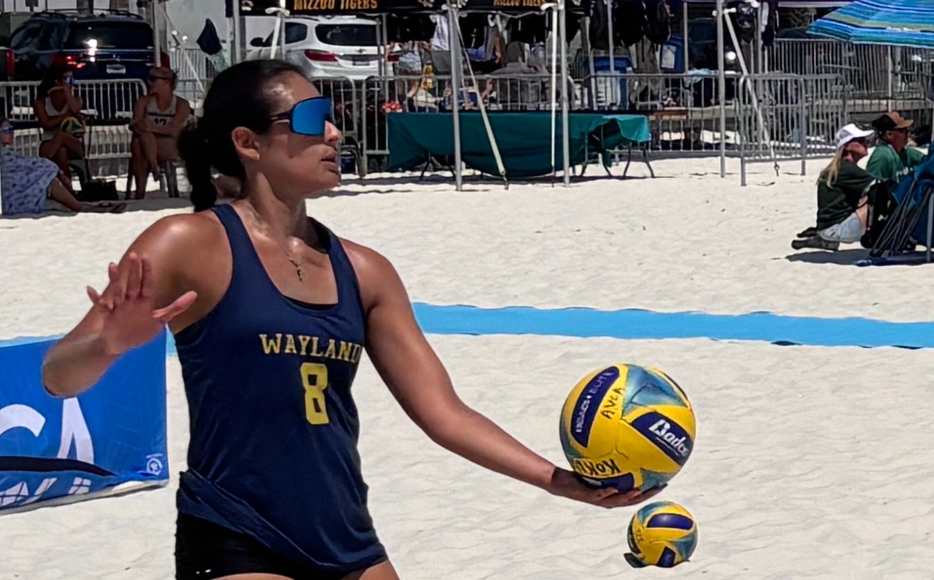 Beach Volleyball Action Shot