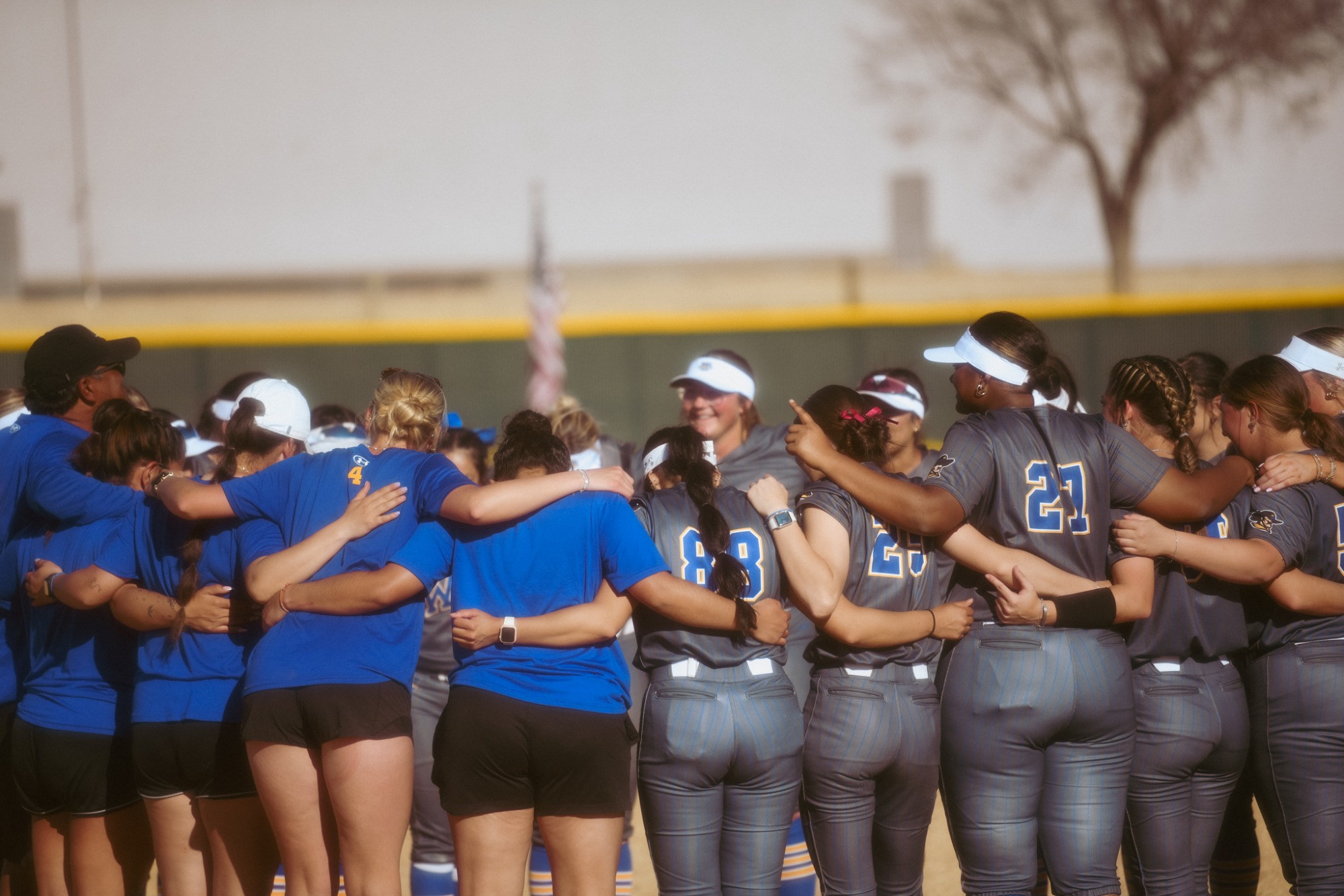 sb vs ccc