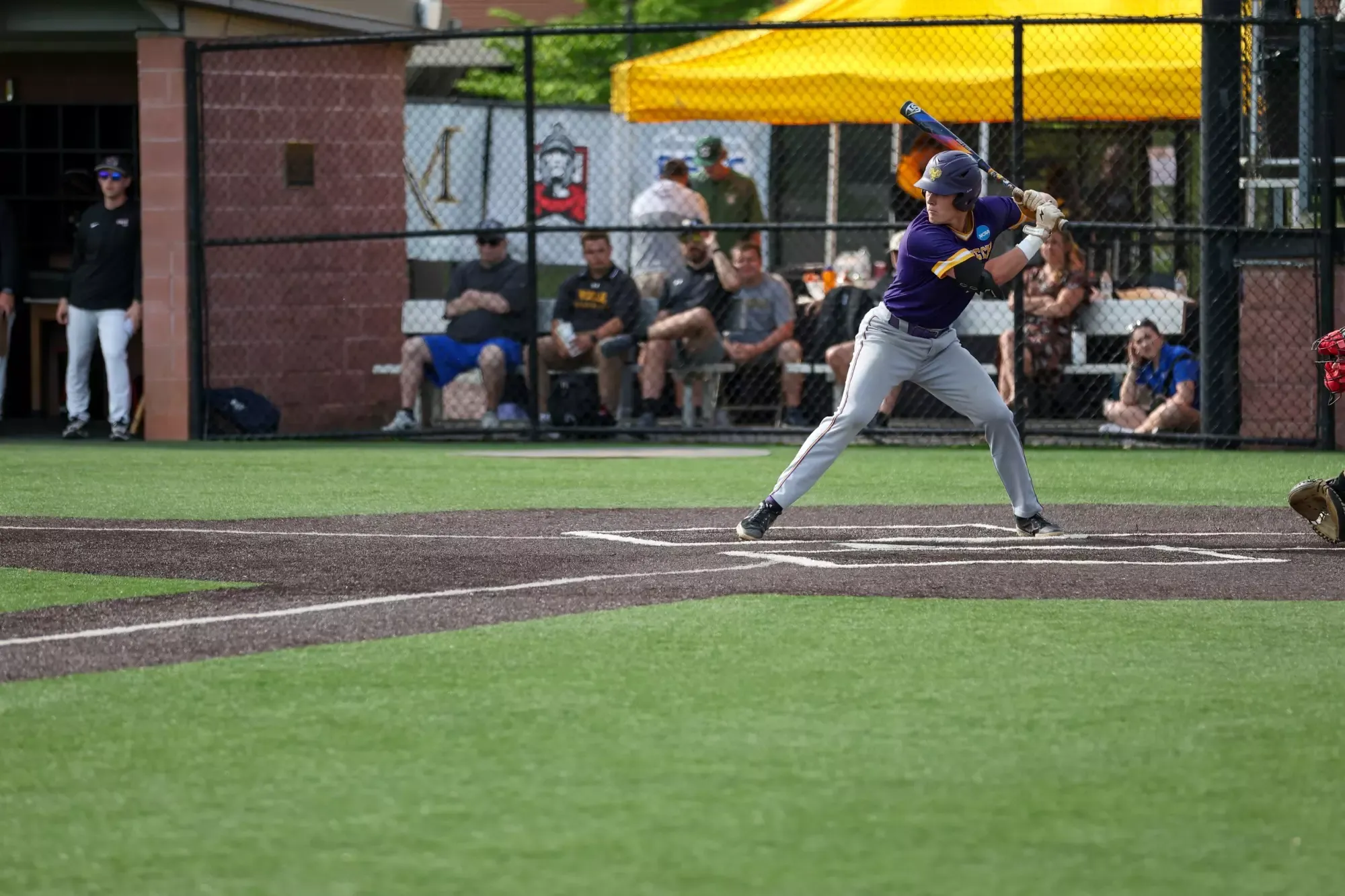 LEFT HANDED BATTER IN BOX PRE PITCH IN TEAM ISSUED PURPLE UNIFORM AND GREY PANTS