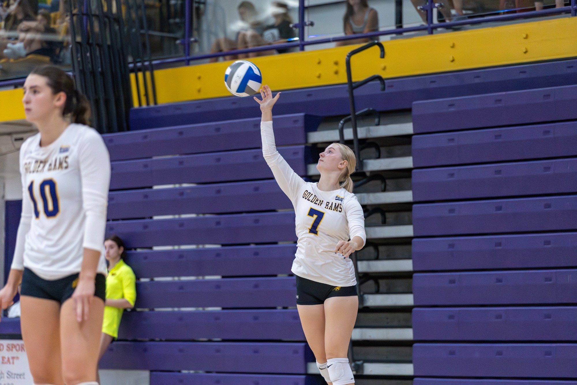 STEPP SERVE KS