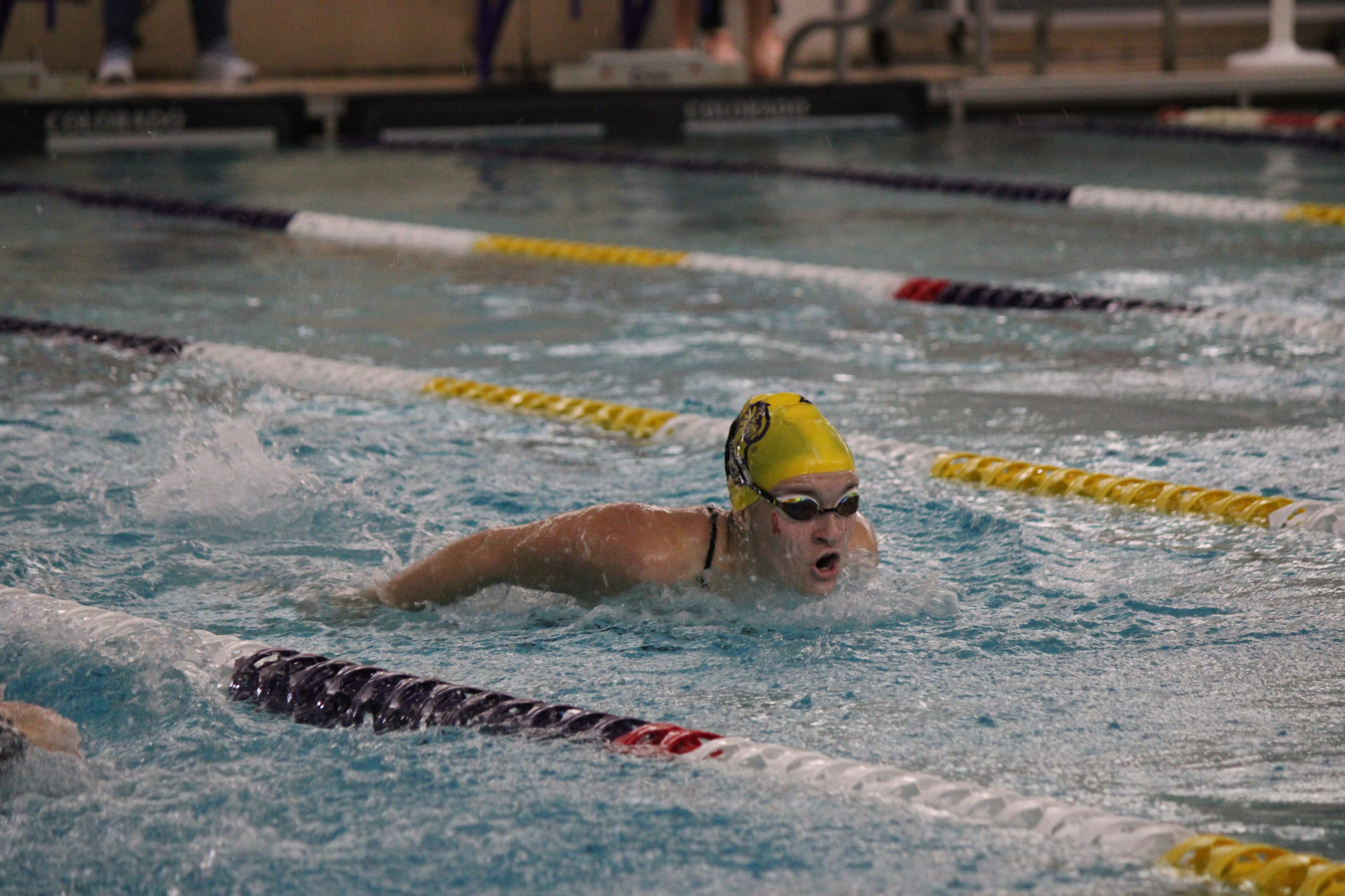 Dani Hinkson swims the butterfly in her yellow TYR swim cap and goggles