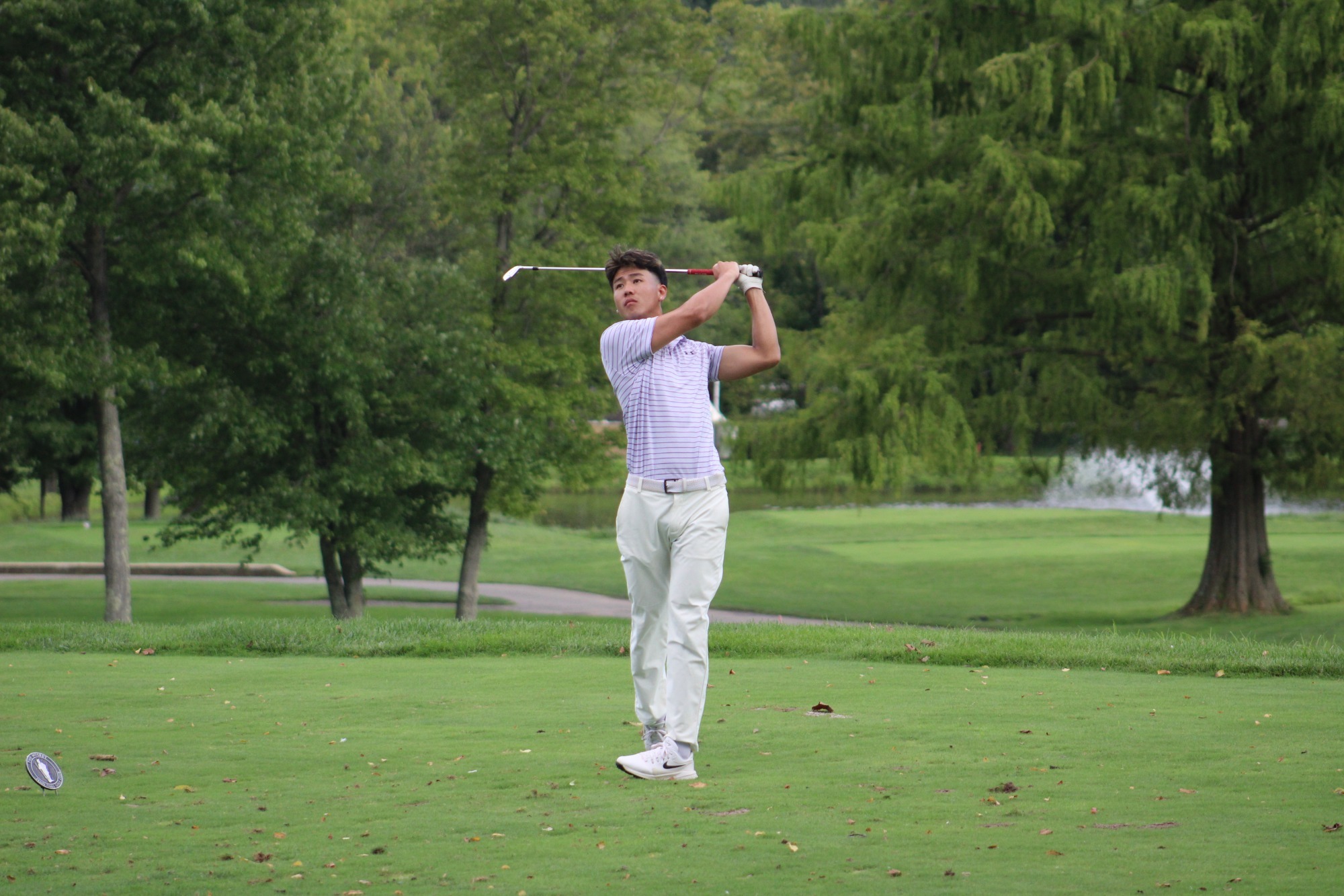 Yamato Kimura wearing purple and white striped polo and white pants teeing off at Penn Oaks