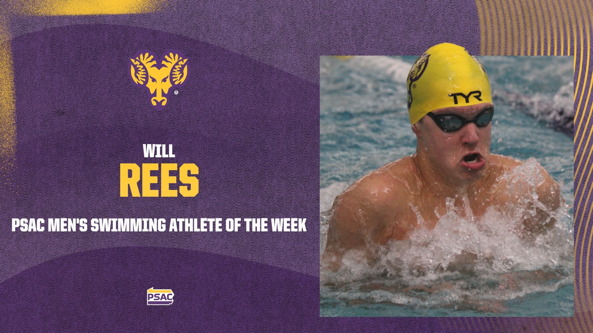 Purple and Gold gradiant graphic announcing Will Rees with action shot of Rees in pool as the PSAC Swimming Men's Swimmer of the Week
