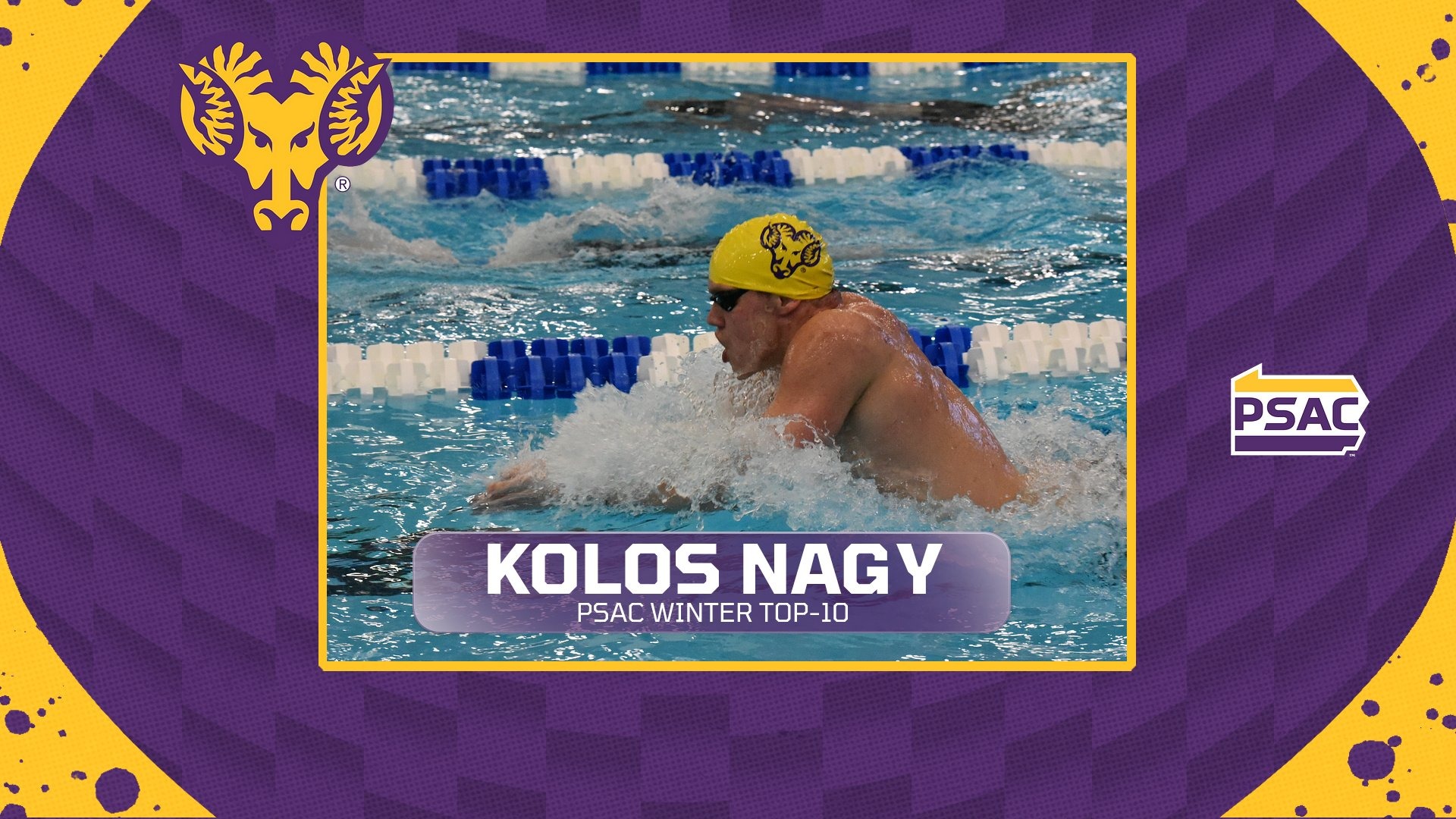 Graphic with primarily purple with gold accents and side profile of Kolos Nagy swimming announcing Nagy as PSAC Winter Top-10 Award honoree