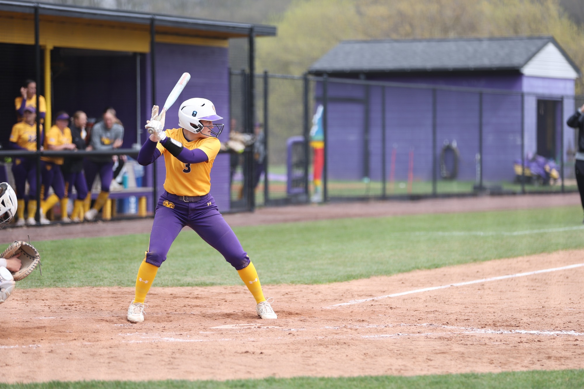 Julia Miller up to bat wearing gold top and purple pants in WCU Softball home game vs Shepherd