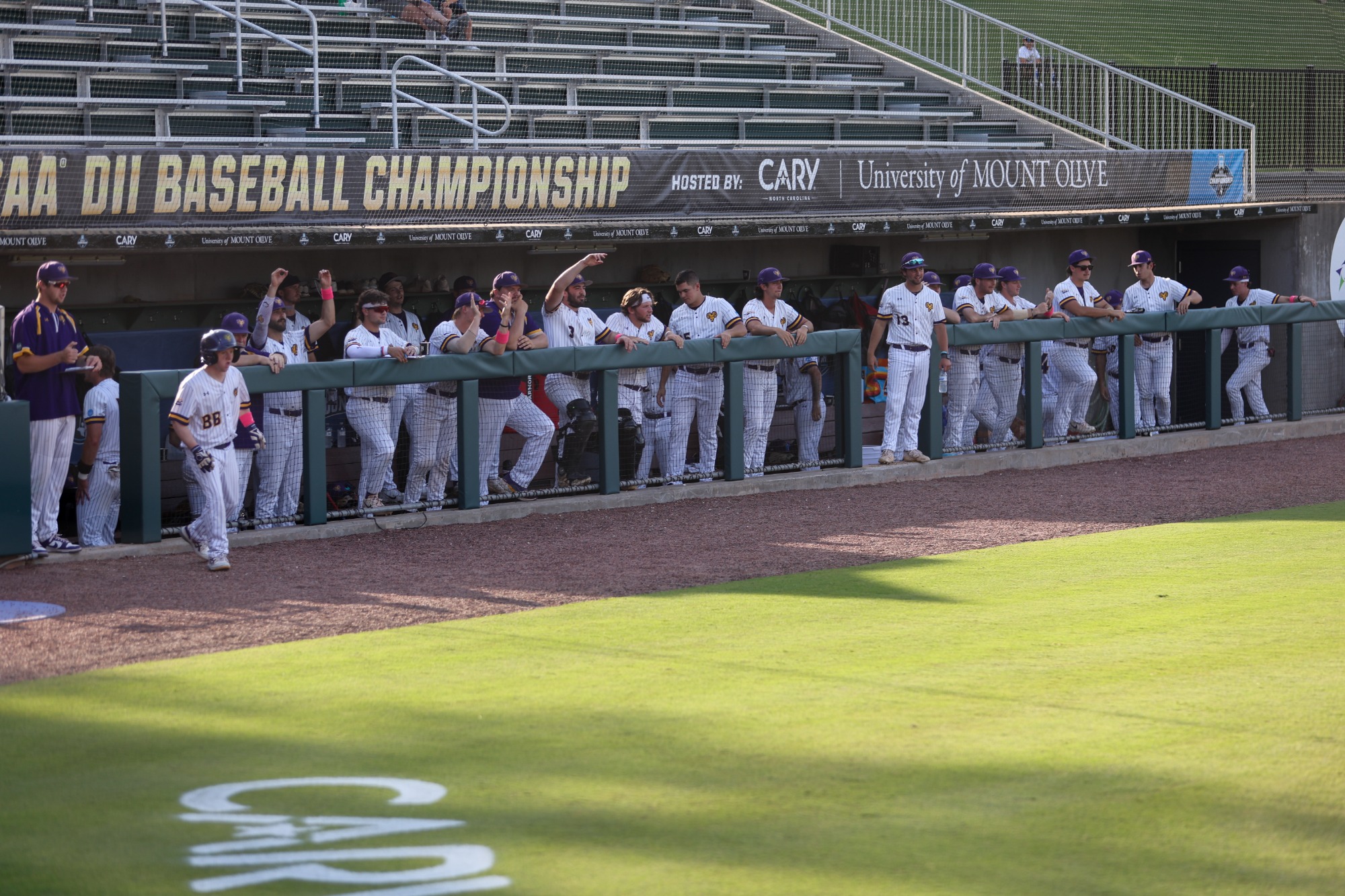 DUGOUT CELEBRATING VS UINDY IN NATIONAL FINALS