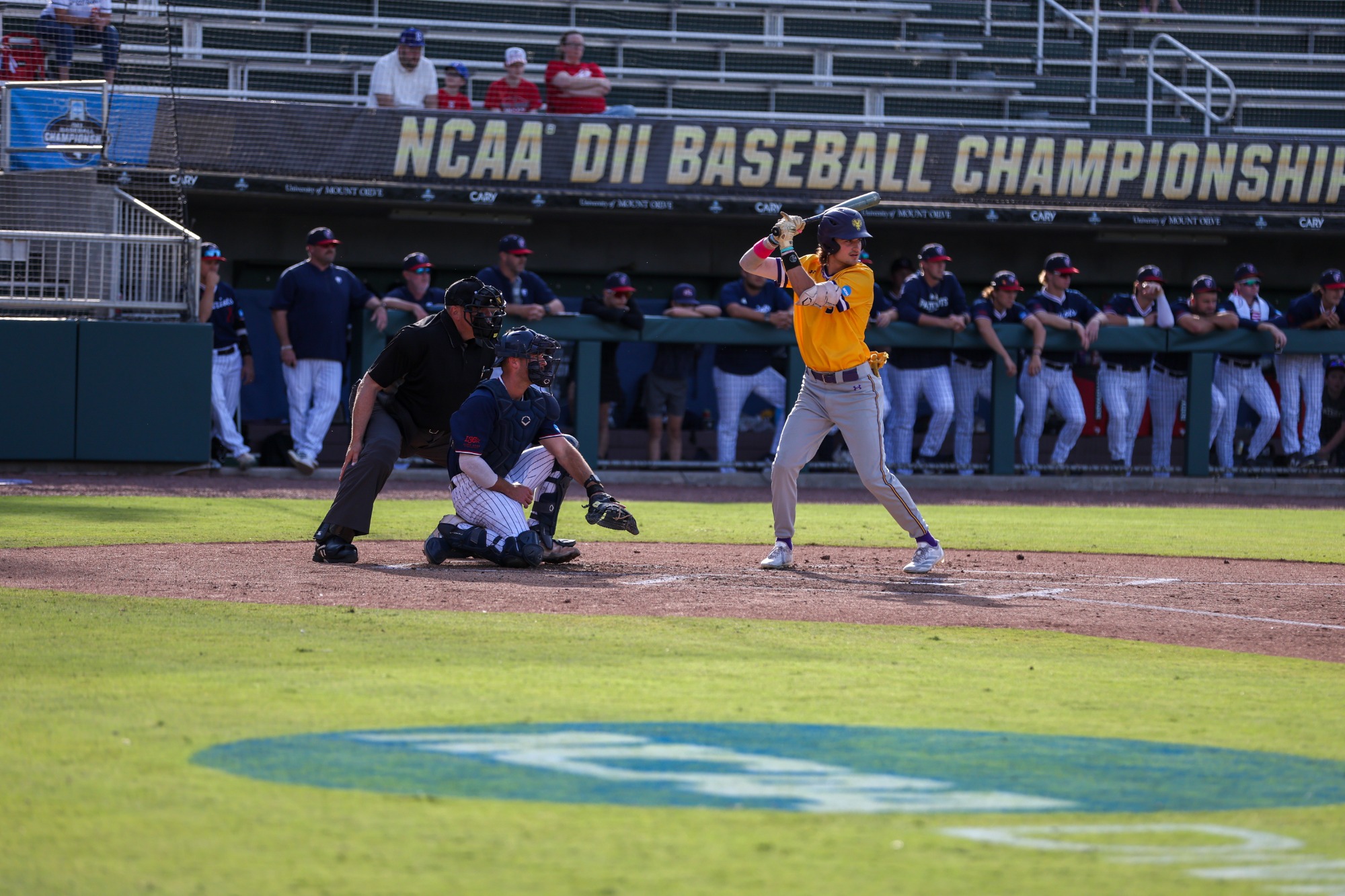 Christian Michak up to bat vs UT-Tyler in National Finals in Cary