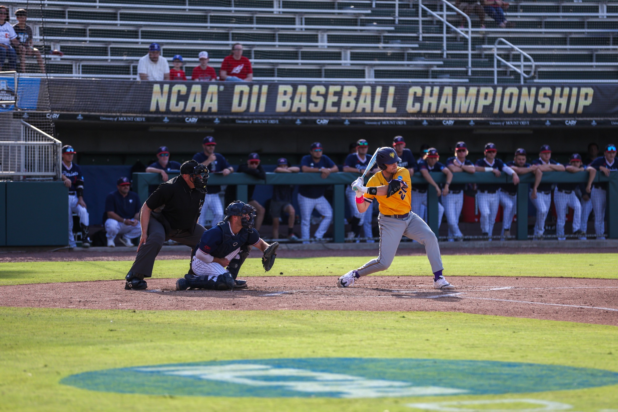 Harry Middlebrooks up to bat vs UT-Tyler in National Finals in Cary, N.C.