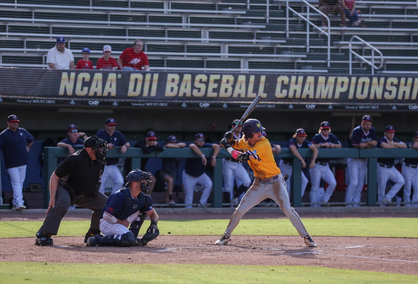 RUST WEARING GOLD TOP AND GRAY PANTSAT THE PLATE VS UT-TYLER IN NCAA DII BASEBALL NATIONAL FINALS IN CARY, NORTH CAROLINA