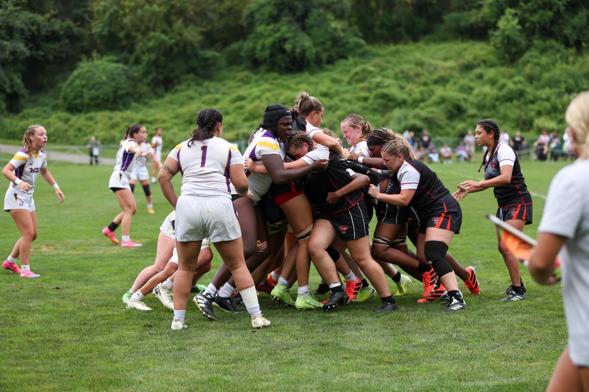 WCU (WHITE, PURPLE AND GOLD JERSEYS) AND DAVENPORT (BLACK, RED, AND WHITE JERSEYS) BATTLE IN A SCRUM DURING SATURDAY MORNINGS NIRA RUGBY MATCH IN WEST CHESTER