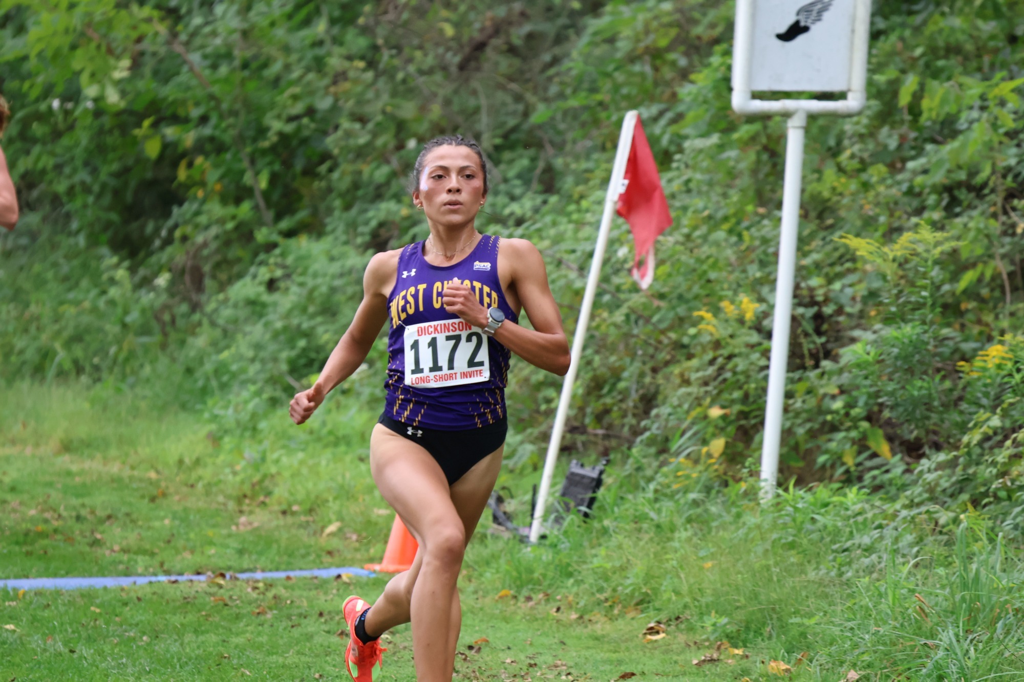 Kristina Tapia running at the Dickinson Long-Short Invitational wearing Purple and Gold racing top with West Chester across the chest and white timing bib #1172 with red Dickinson Long-Short Invitational text