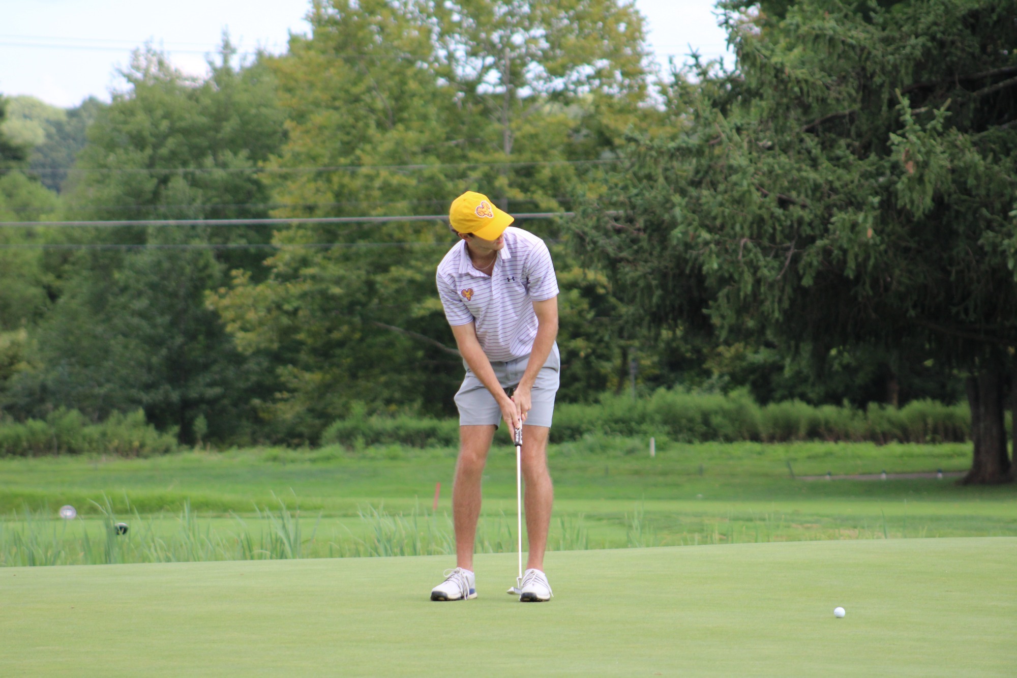 Evan Jozwiak wearing white and purple striped polo with Ram head and under armour logos, gray shorts, and yellow hat with ram head logo watches a putt on the green at Penn Oaks
