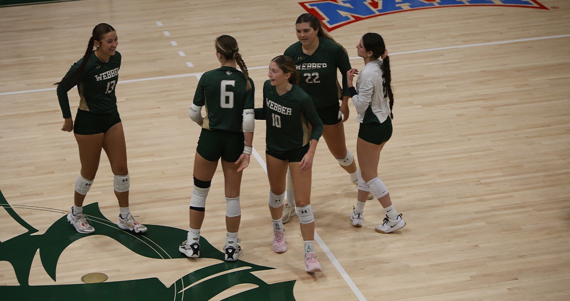 vb vs seu