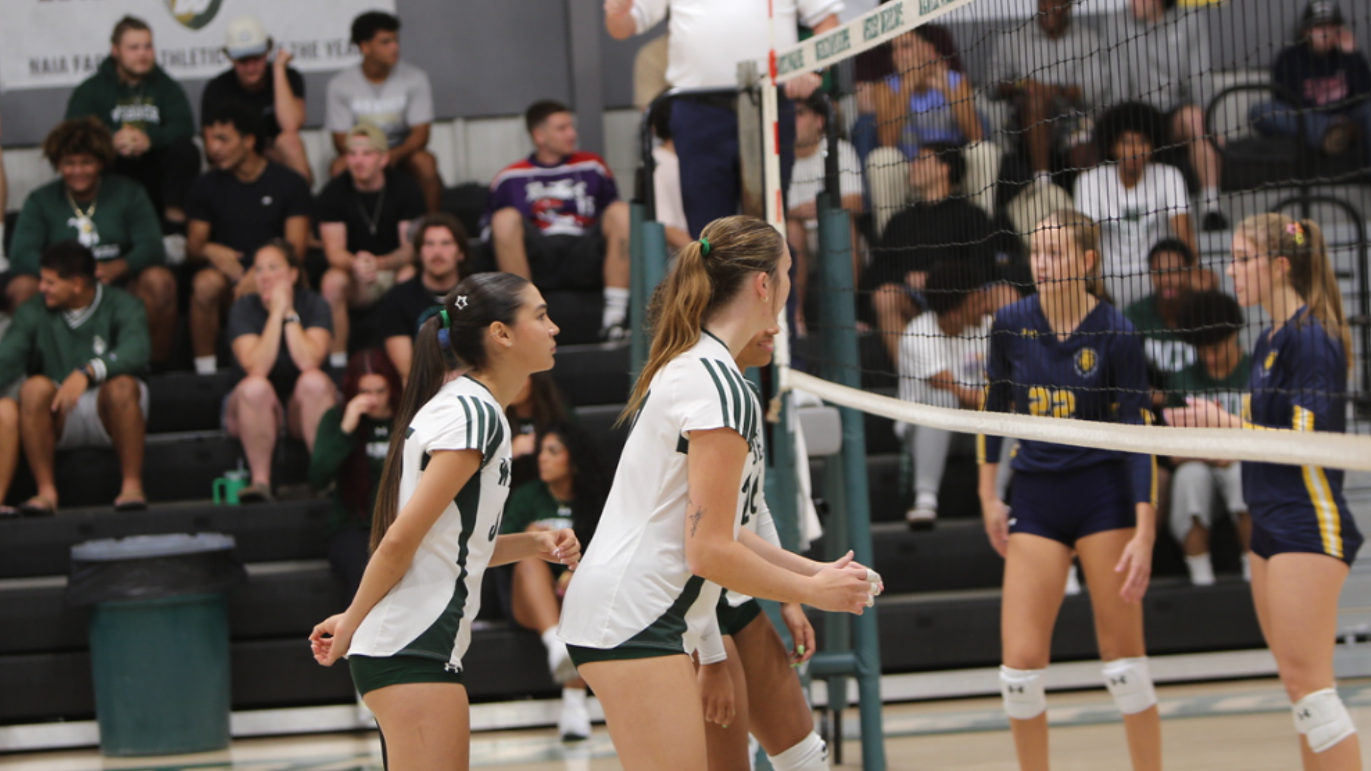 WVBALL