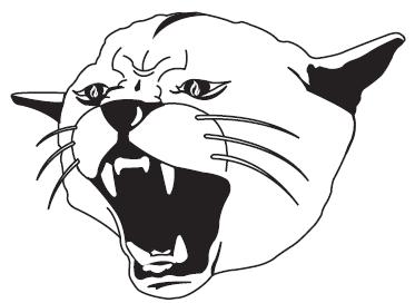 Opponent Logo