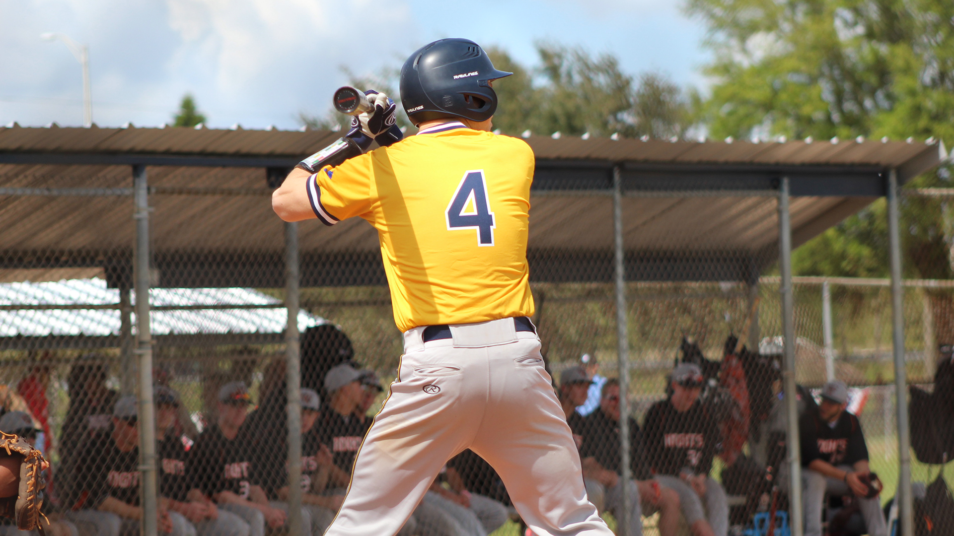 Brandon Dryer Baseball ster University Athletics