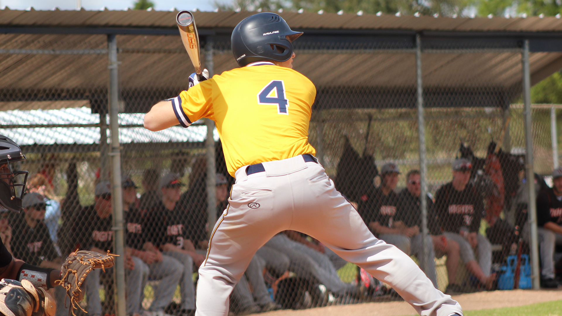 Brandon Dryer Baseball ster University Athletics