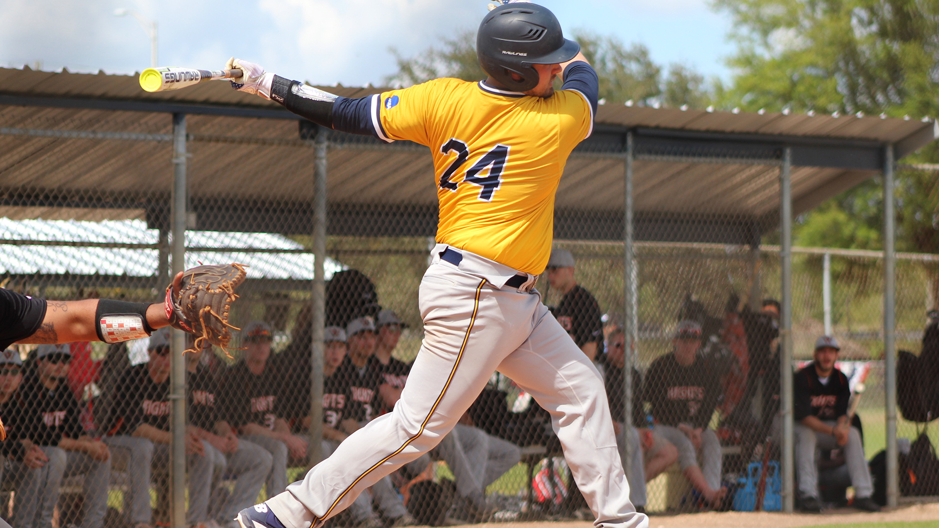 Talon Parke Baseball ster University Athletics