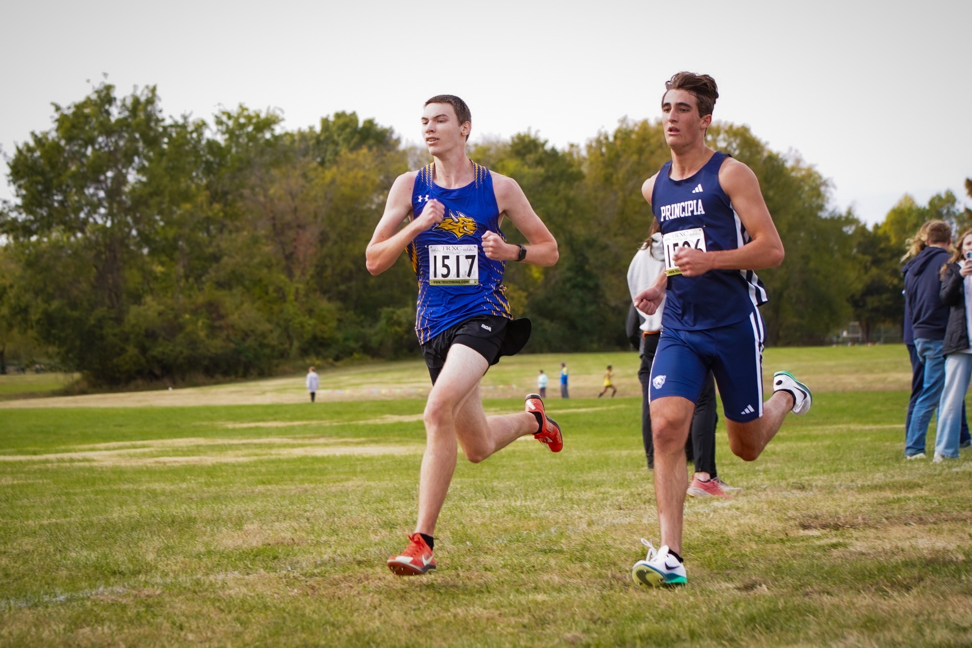 MXC Brayden