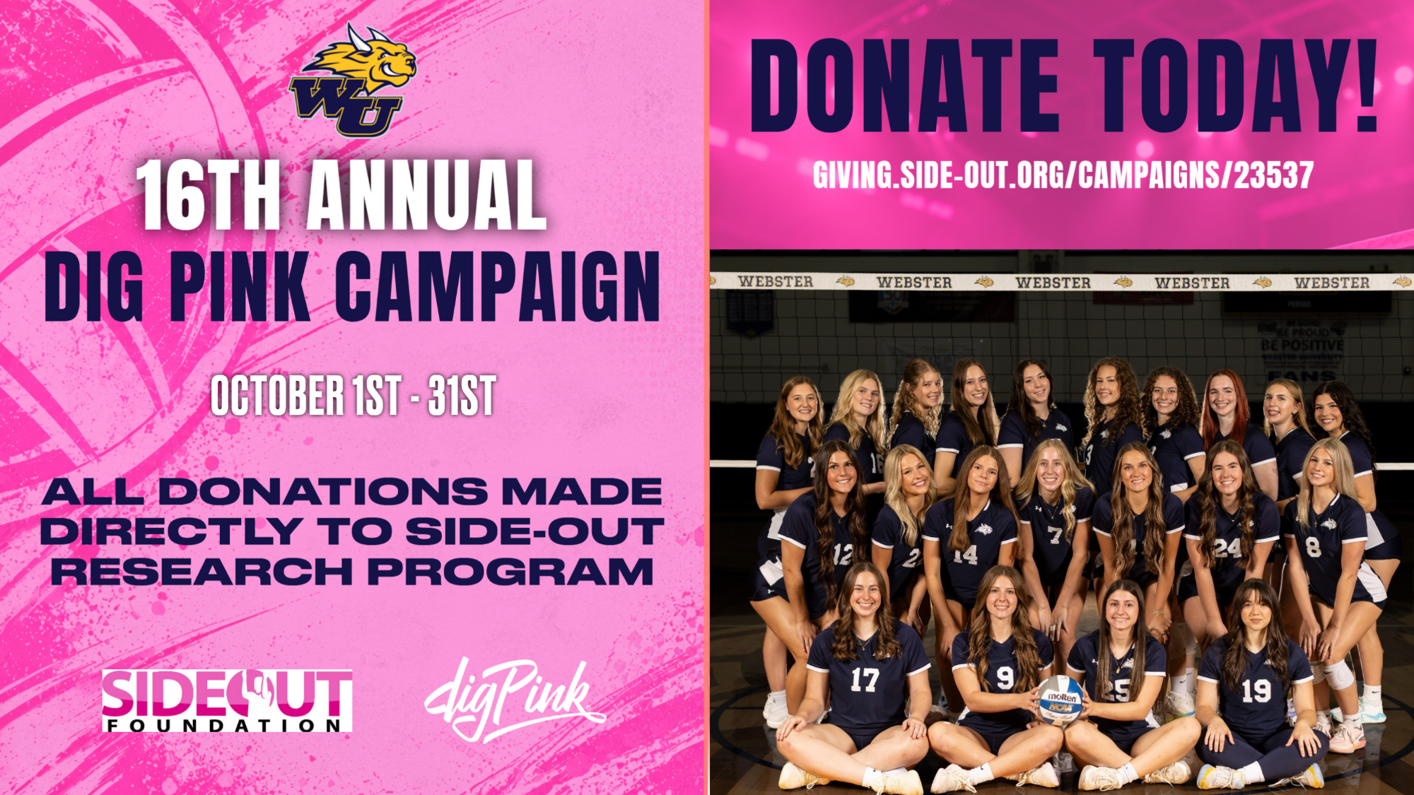 Dig Pink VB