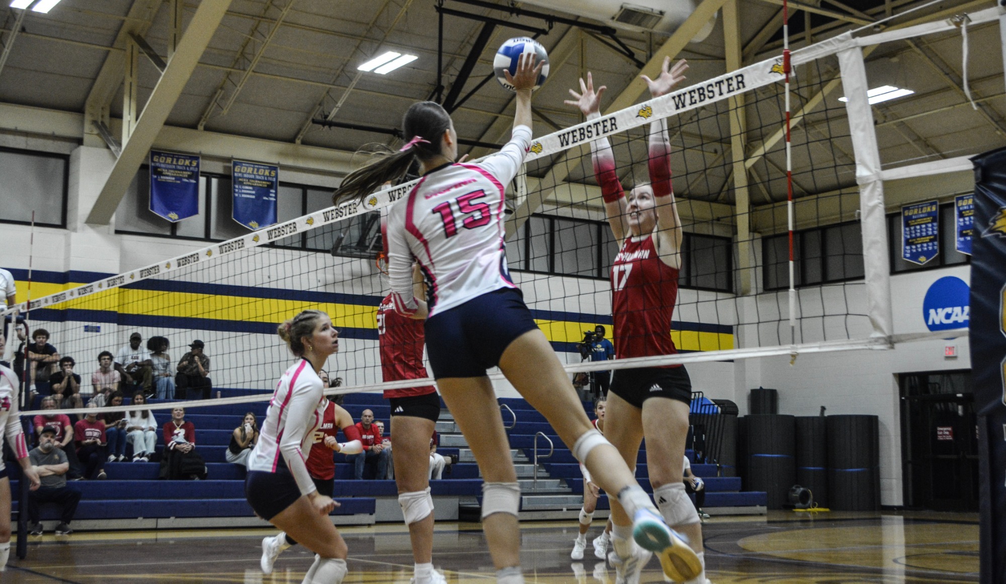 VB vs Rose Hulman - Eva Tarlos