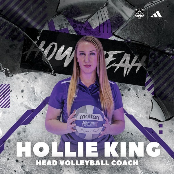 hollie king