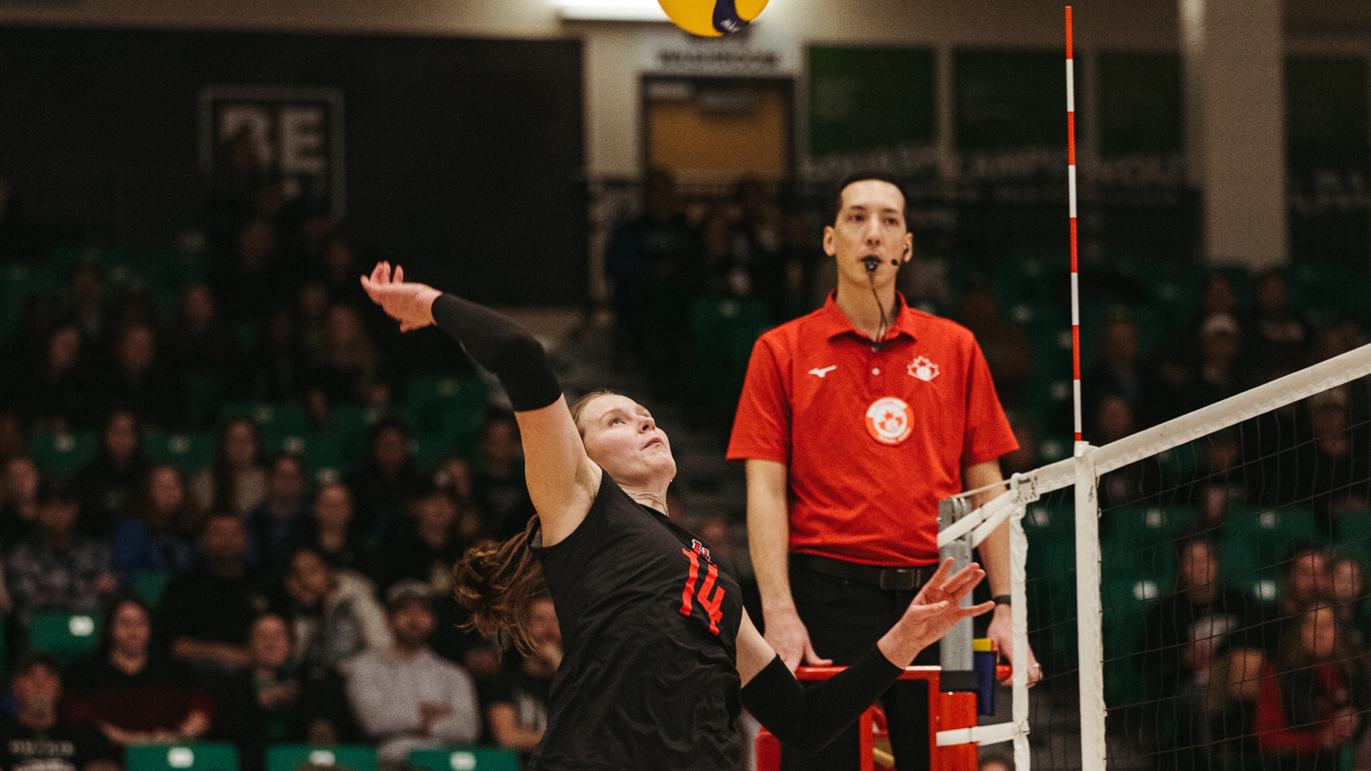 ella werbiski at sask nov 14 2025