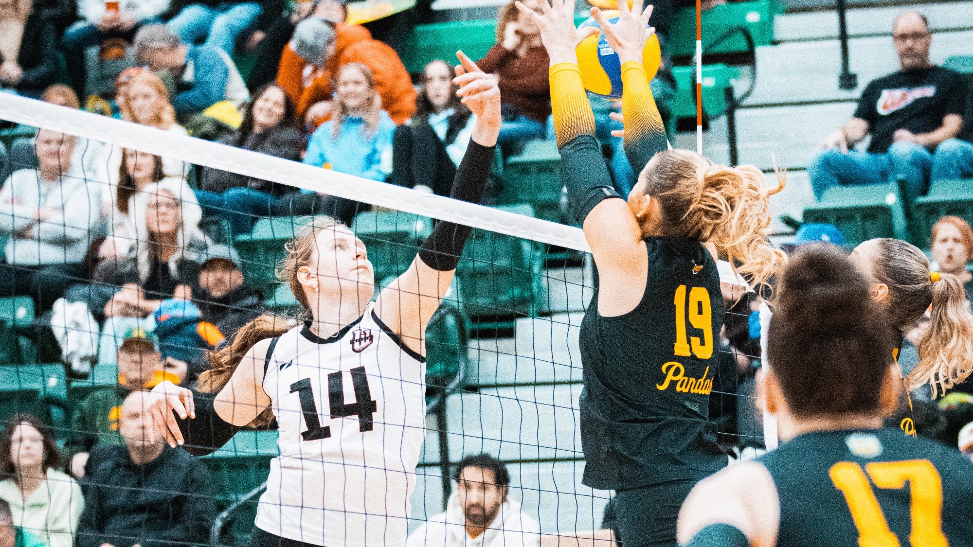 ella werbiski at alberta jan 24 2026