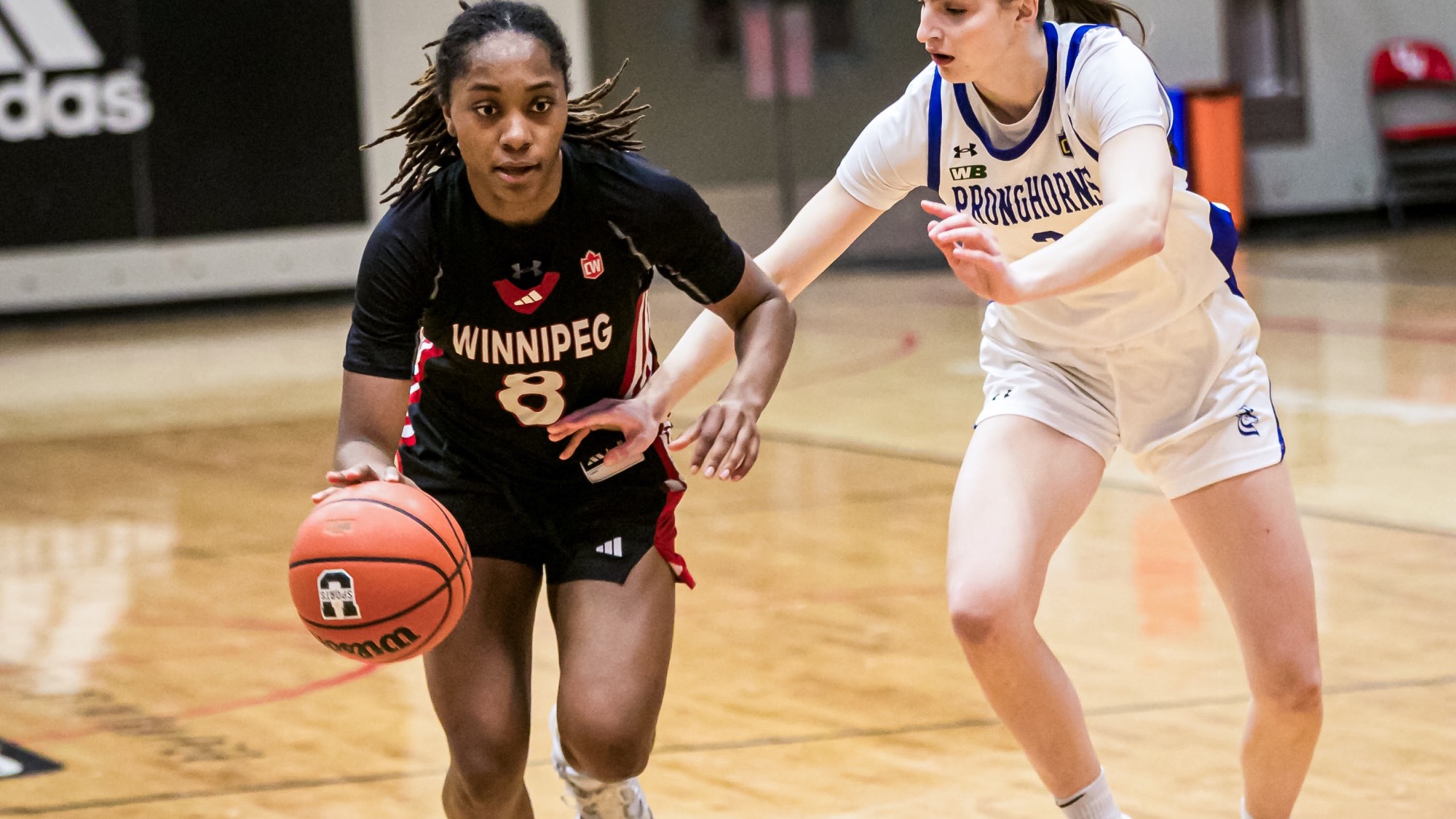 jazmin birch vs lethbridge jan 24 2026