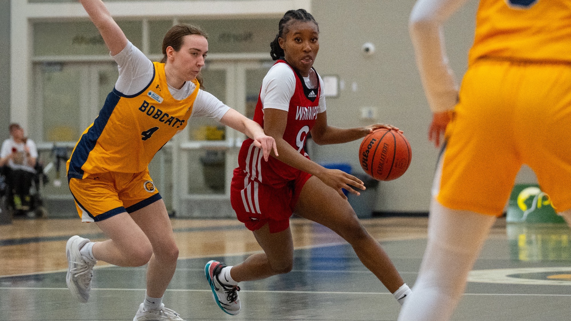 jen kallon at bu jan 9 2026