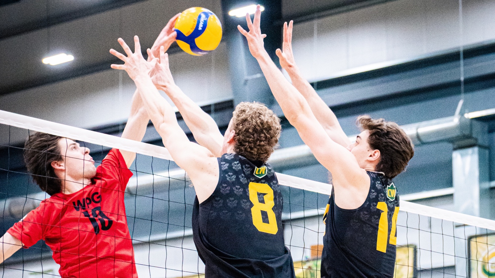 luke lodewyks at alberta feb 26 2026