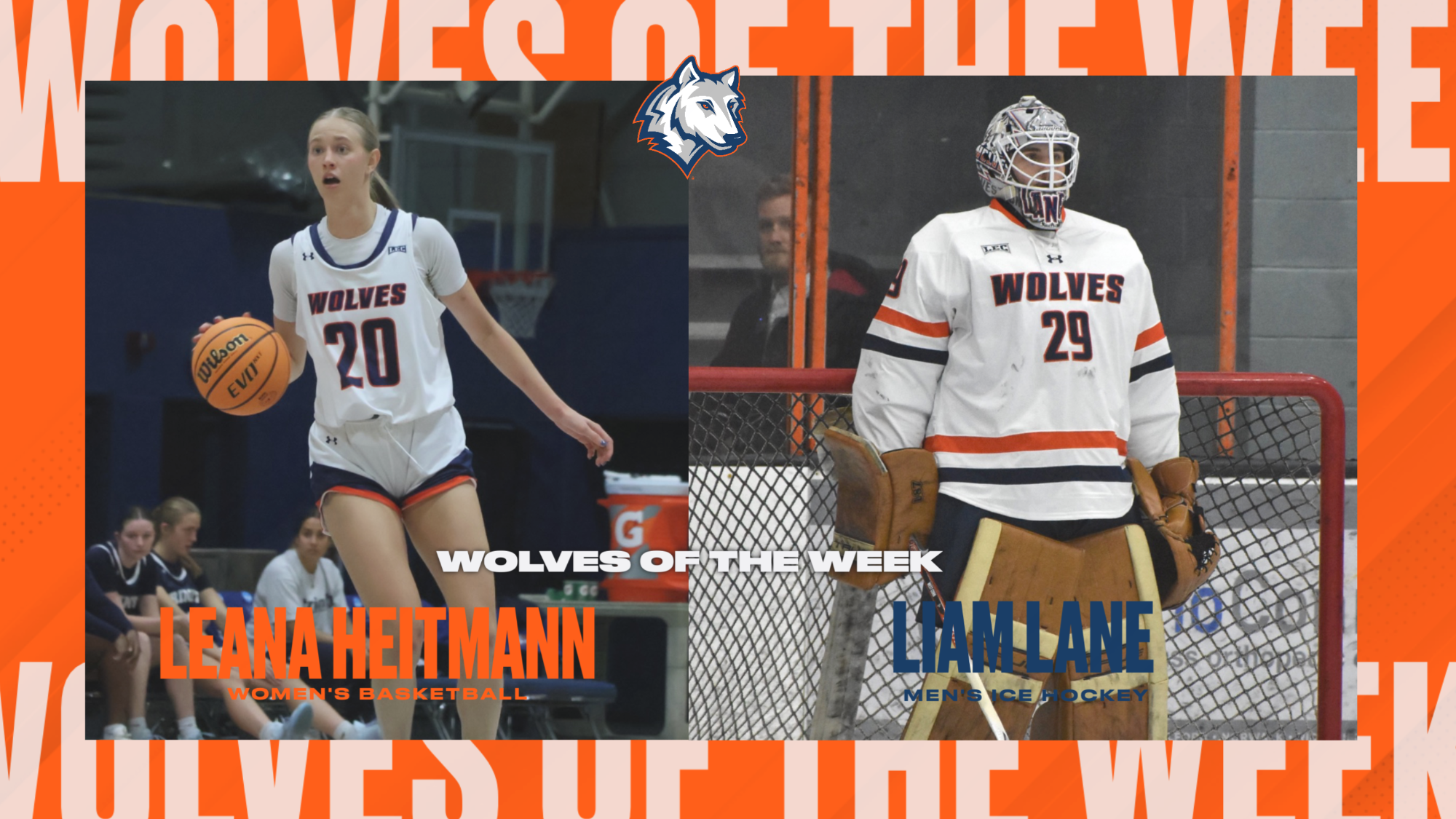 Wolves of the Week 2526 13