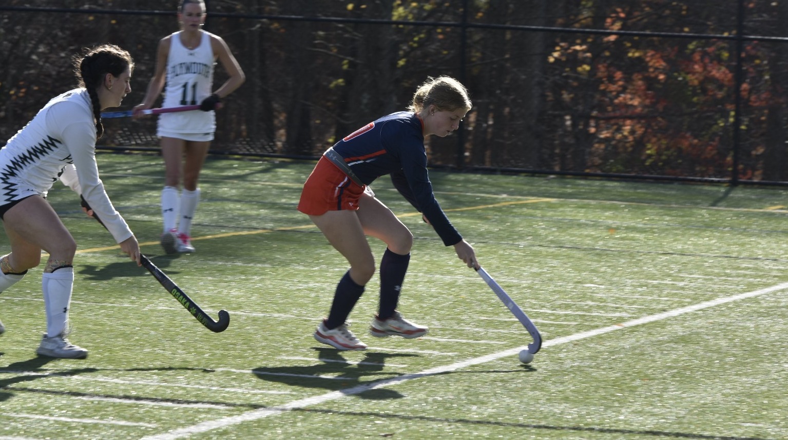 Cassify Nordman A 25