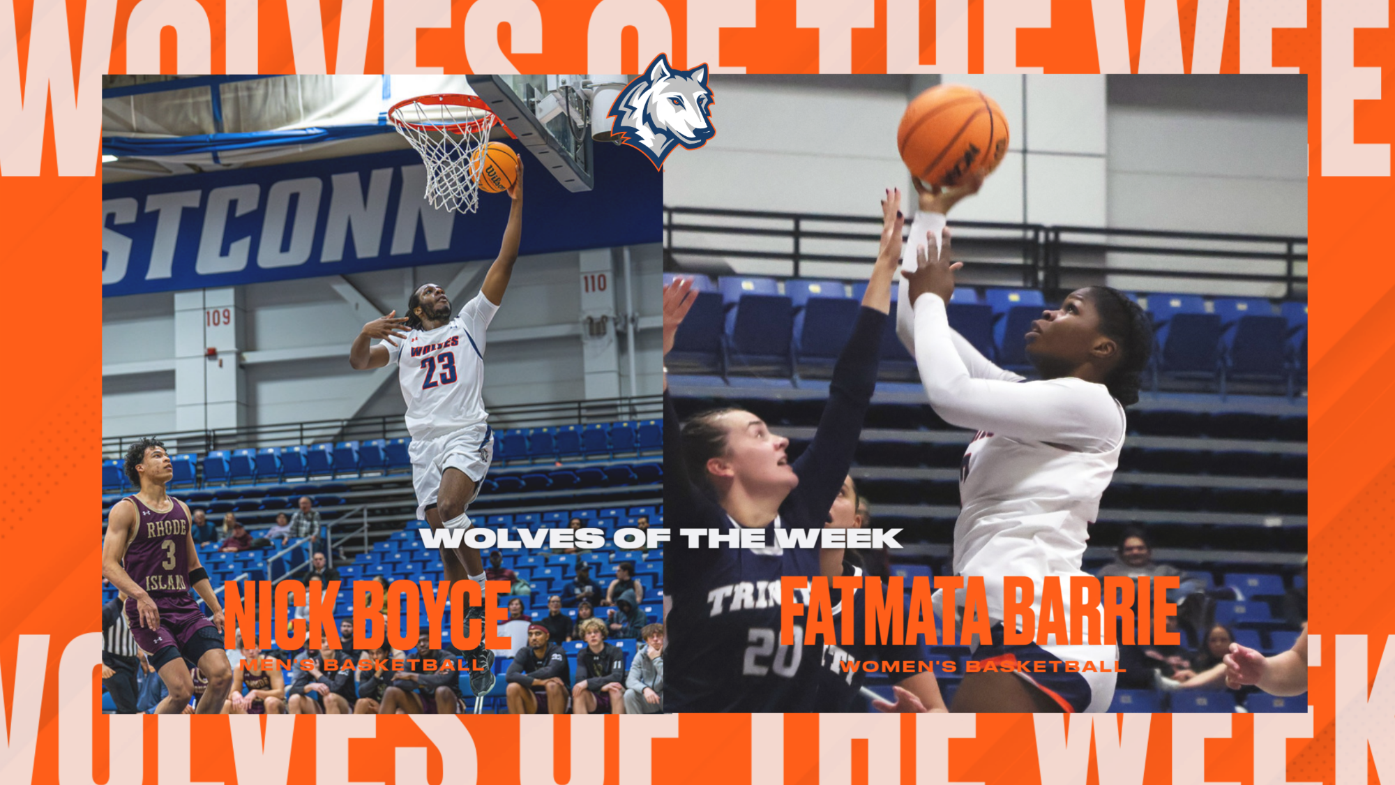 Wolves of the Week 2526 16