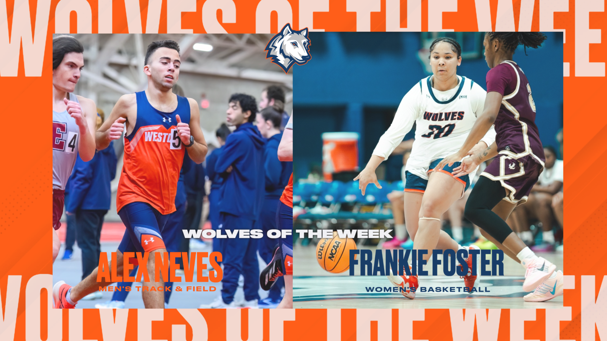 Wolves of the Week 19 A2526