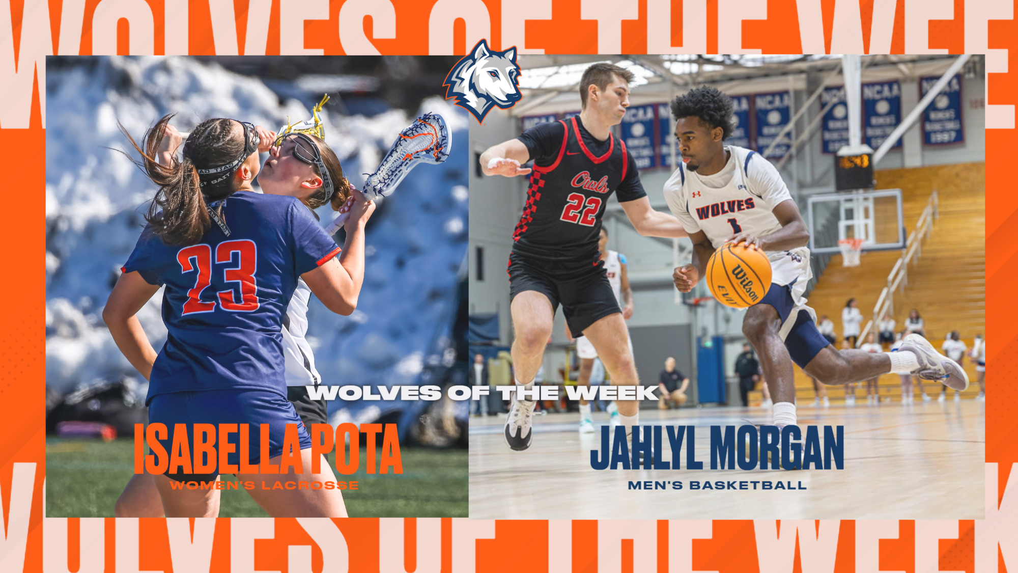 Wolves of the Week 2526 #23